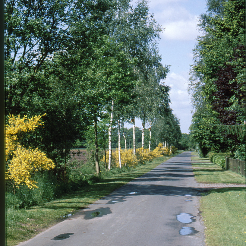 Feldkampstraße