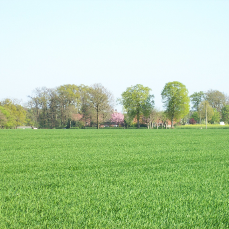 Feldkampstraße