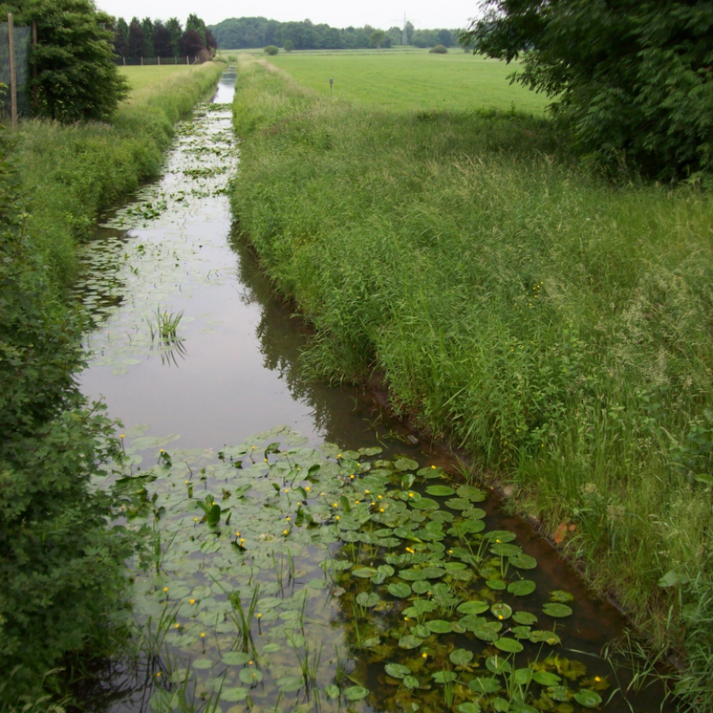 Süderbäke