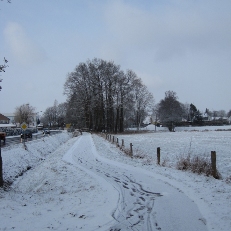 Langebrügger Straße