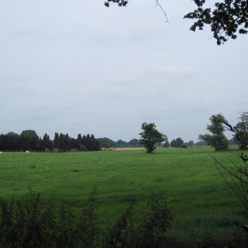 Langebrügger Straße