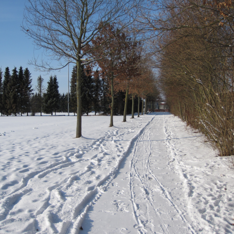 Am Sünderkamp