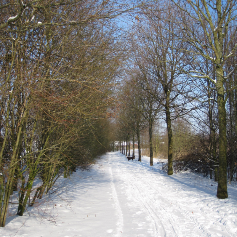 Am Sünderkamp
