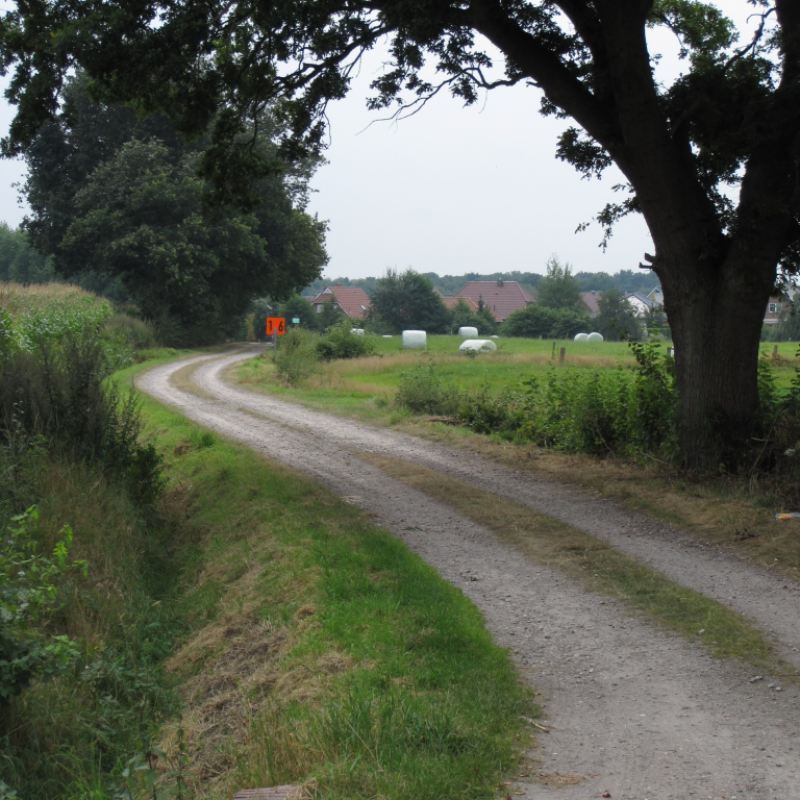 Am Wiesenrand